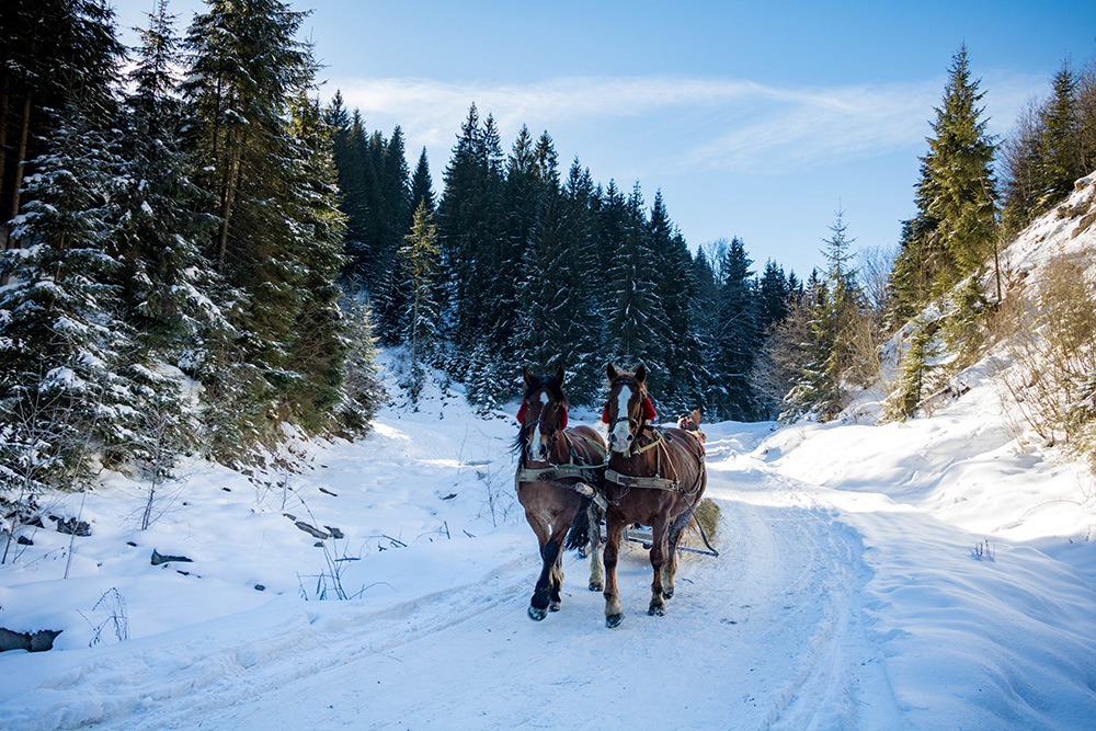 ferie zimowe 2021 na podhalu