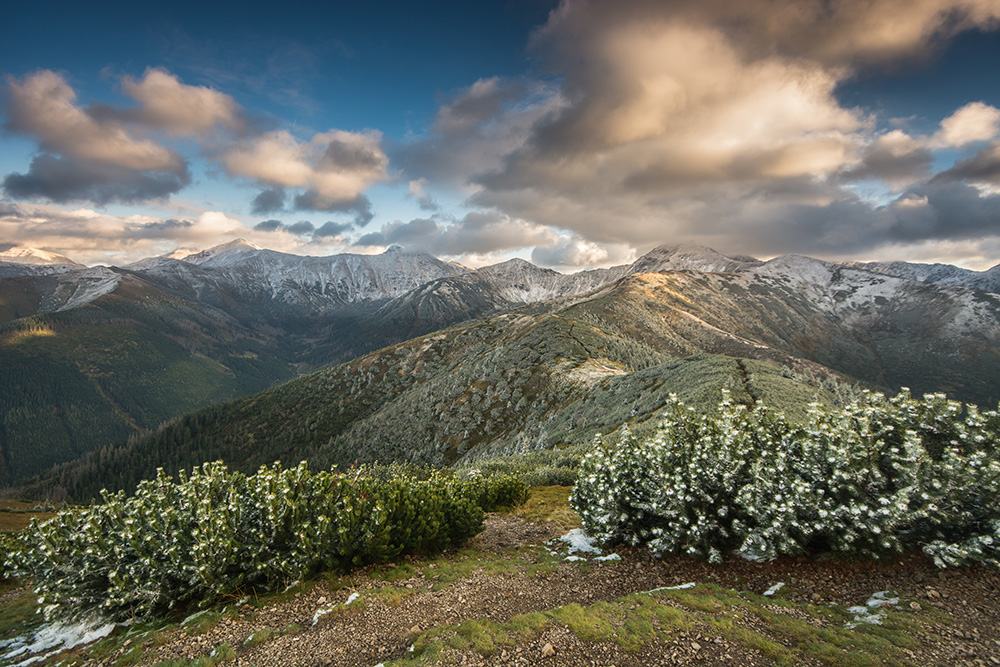 Grześ - Tatry