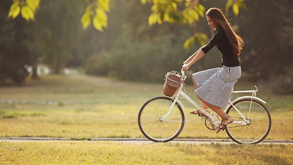 Bicycle Rental